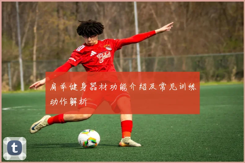 肩举健身器材功能介绍及常见训练动作解析