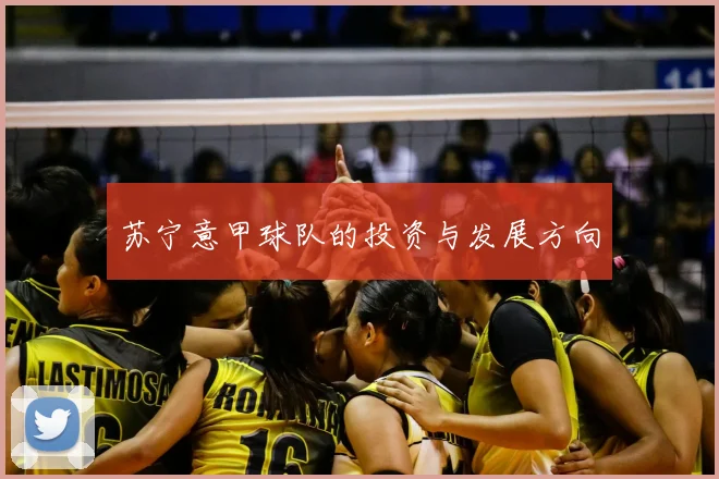 苏宁意甲球队的投资与发展方向